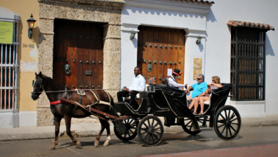 Photo of Los célebres coches de caballos de Cartagena: ¿un oficio o maltrato animal?