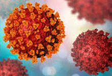Photo of Una nueva variante del coronavirus fue detectada en Sudáfrica con múltiples mutaciones