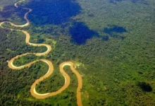 Photo of Veto a planes petroleros en Amazonas causa una dimisión en coalición oficial